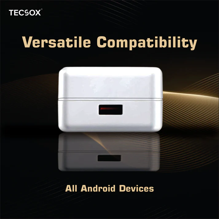 Tecsox 100 Watt Charger White 1 Pcs 